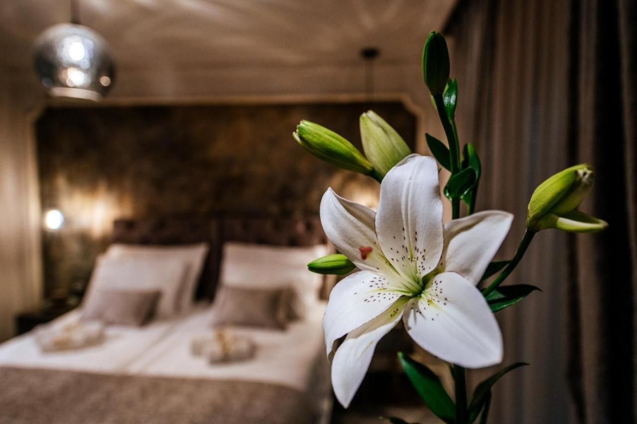 Luxury Rooms Vindemiae 扎达尔 外观 照片
